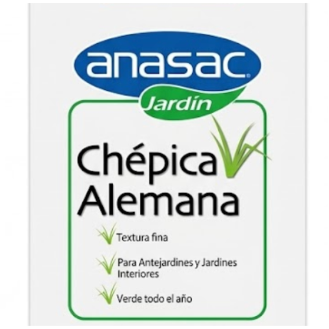 Semilla Chépica Alemana (Agrostis tenuis) (250 Gr) | Gardekin.com