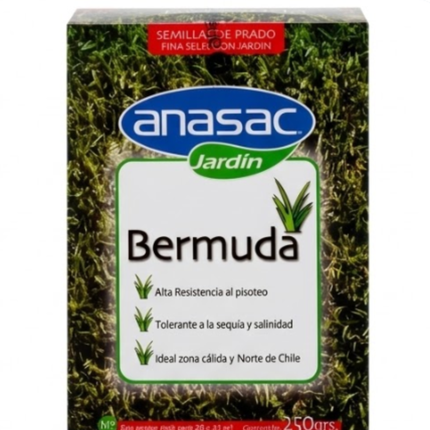 Semilla de Pasto Bermuda (Cynodon dactylon) (250 Gr) | Gardekin.com
