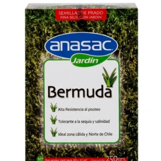 Semilla de Pasto Bermuda (Cynodon dactylon) (250 Gr) | Gardekin.com