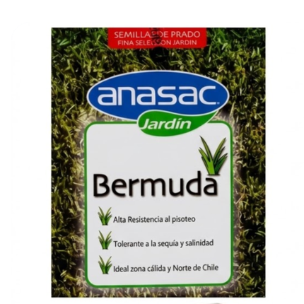 Semilla de Pasto Bermuda (Cynodon dactylon) (250 Gr) | Gardekin.com