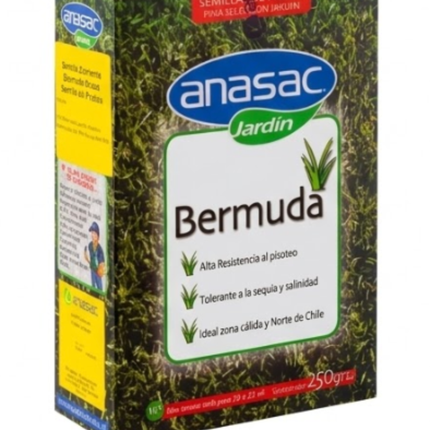 Semilla de Pasto Bermuda (Cynodon dactylon) (250 Gr) | Gardekin.com