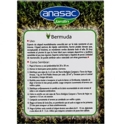 Semilla de Pasto Bermuda (Cynodon dactylon) (250 Gr) | Gardekin.com