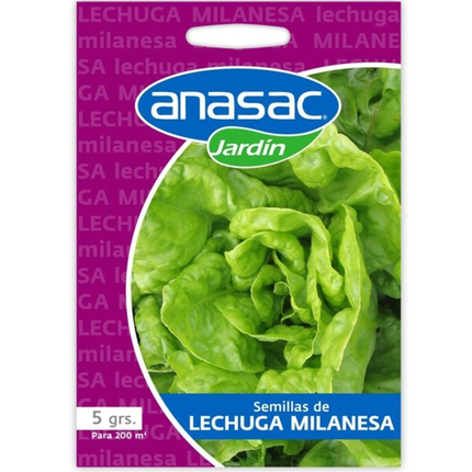 Semilla hortaliza lechuga milanesa (5 G) | Gardekin.com