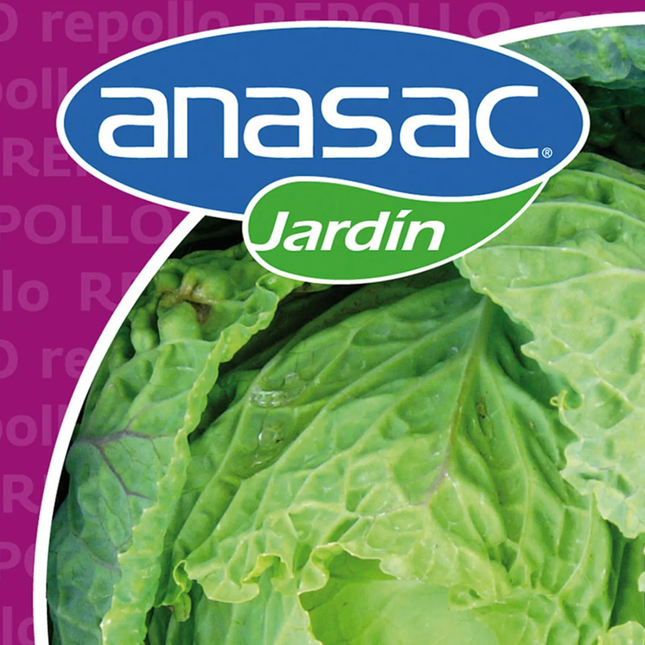 Semillas de Repollo Copenhagen (5 GR) | Gardekin.com