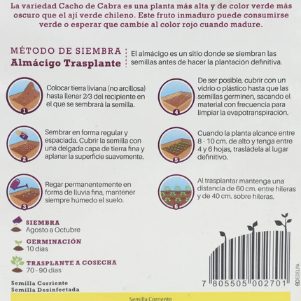 Semillas de Ají Cacho de Cabra | Gardekin.com
