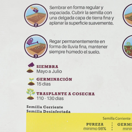 Semillas de Cebolla Valenciana (5 GR) | Gardekin.com