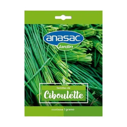 Semillas de Ciboulette (1 GR) | Gardekin.com