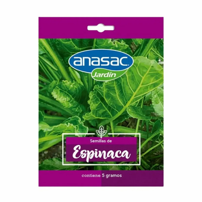 Semillas de Espinaca (5 GR) | Gardekin.com
