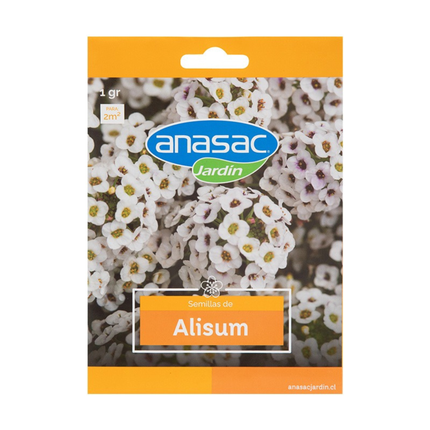 Semillas de Flores Alisum (Lobularia Marítima) (1 GR) | Gardekin.com