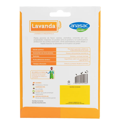 Semillas de Flores Lavanda (1 GR) | Gardekin.com