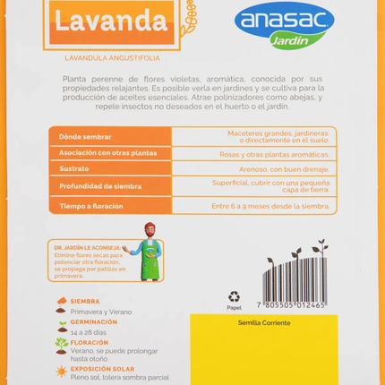 Semillas de Flores Lavanda (1 GR) | Gardekin.com