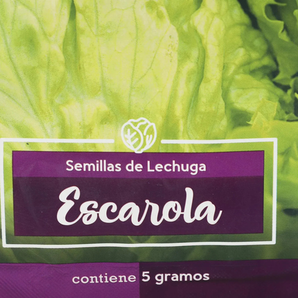 Semillas de Lechuga Escarola (5 GR) | Gardekin.com