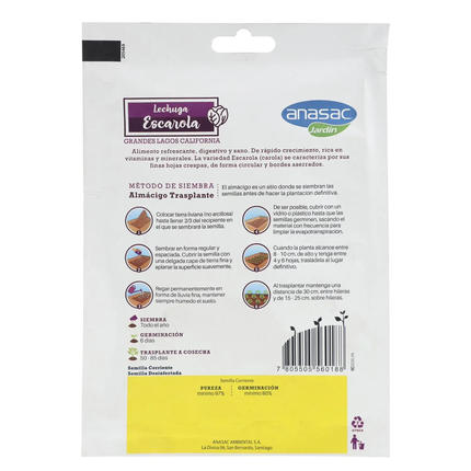 Semillas de Lechuga Escarola (5 GR) | Gardekin.com