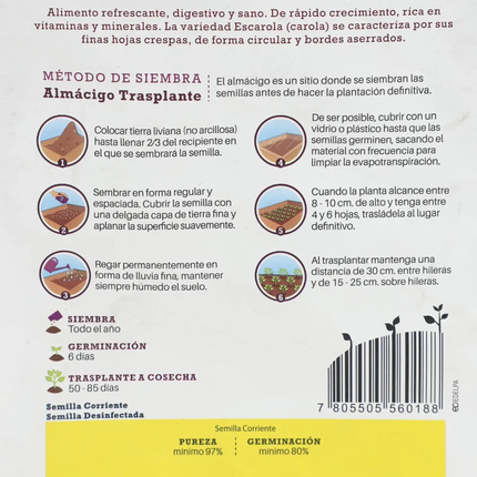 Semillas de Lechuga Escarola (5 GR) | Gardekin.com