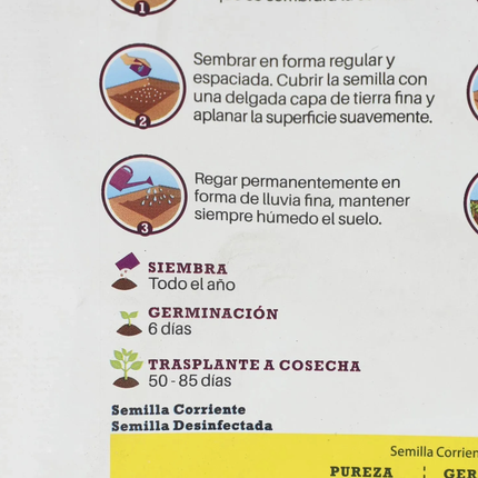 Semillas de Lechuga Escarola (5 GR) | Gardekin.com