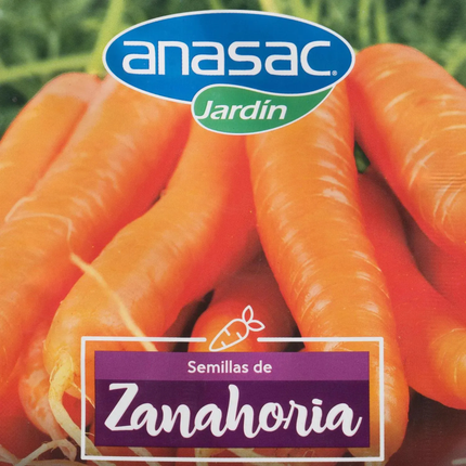 Semillas de Zanahoria (5 GR) | Gardekin.com