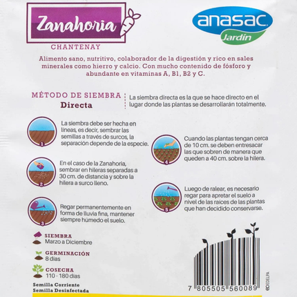 Semillas de Zanahoria (5 GR) | Gardekin.com