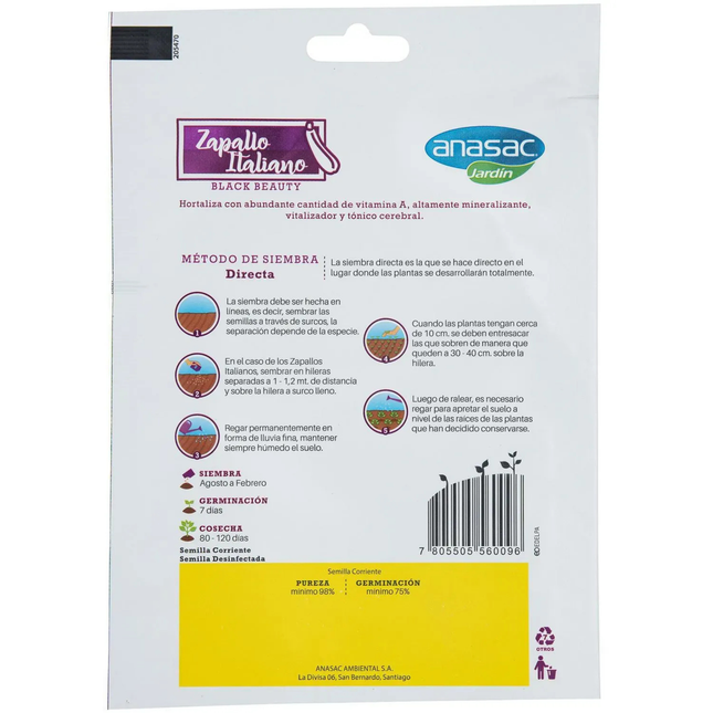 Semillas de Zapallo Italiano (5 GR) | Gardekin.com
