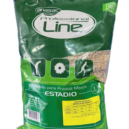 Semilla pasto estadio (1 KG) | Gardekin.com