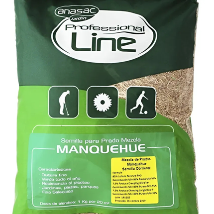 Semilla pasto manquehue (1 KG) | Gardekin.com