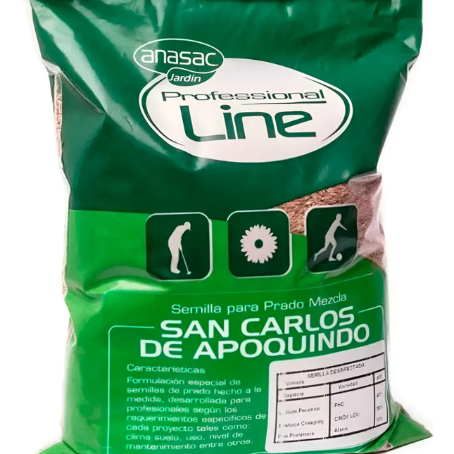 Semilla pasto san carlos apoquindo (1 KG) | Gardekin.com