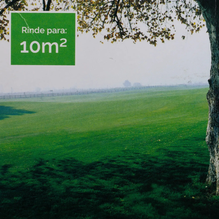 Semilla pasto sector sombra (500 G) | Gardekin.com