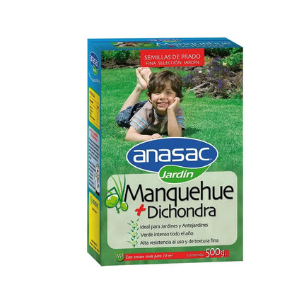 Semillas de Pasto mezcla Manquehue con Dichondra (500 gr) | Gardekin.com
